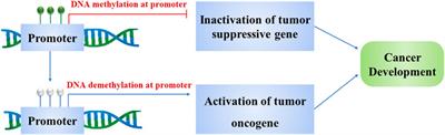 Small-Molecule Inhibitors Overcome Epigenetic Reprogramming for Cancer Therapy